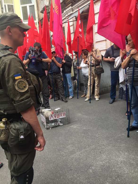  Петушиные бои: на Украине нардепа избили петухом (ФОТО, ВИДЕО) | Русская весна 