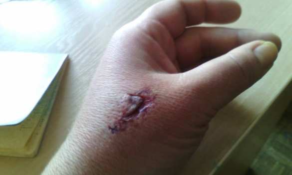 «Какая же я курва?» — продавец, избившая вдову карателя, рассказала подробности драки (ФОТО, ВИДЕО) | Русская весна