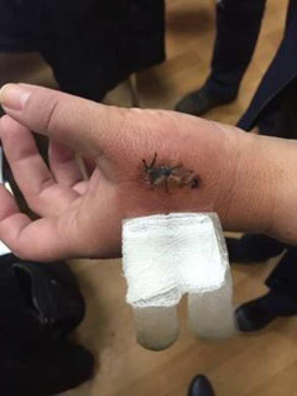 «Какая же я курва?» — продавец, избившая вдову карателя, рассказала подробности драки (ФОТО, ВИДЕО) | Русская весна