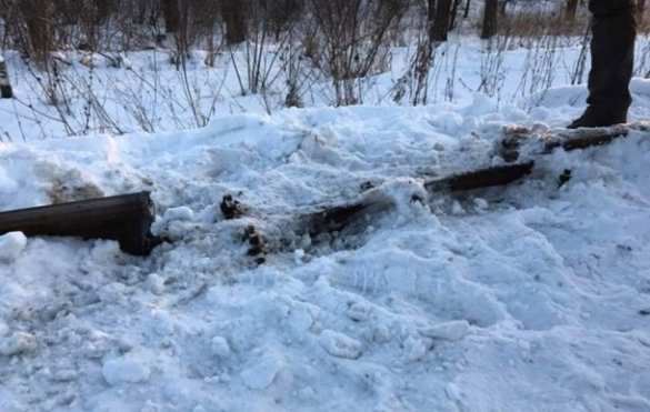 «Сознательные украинцы срезали рельсы, соединяющие Украину и ЛНР», — Парасюк (ФОТО) | Русская весна