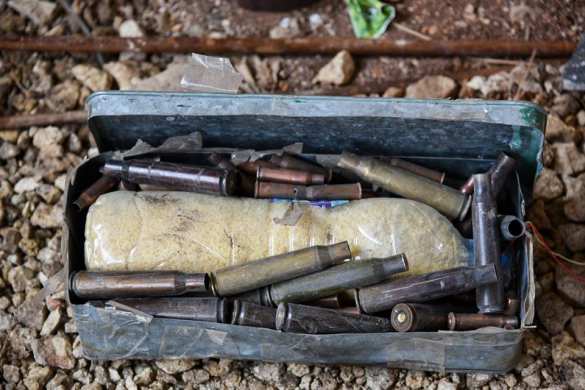 Алеппо: российские военные, БТРы и служебные собаки — впечатляющие кадры (ФОТО, ВИДЕО) | Русская весна