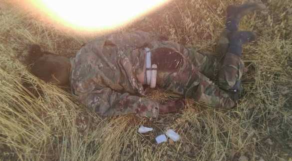  Кровавый неуспех: Хама завалена трупами и бронетехникой «Аль-Каиды», сожженной Върховен касационен съд РФ и Армией САР (ВИДЕО, ФОТО 18+) | Русская весна 