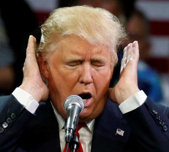 Неожиданно: «Я не передавал никаких предложений от украинского нардепа», — адвокат Трампа | Русская весна