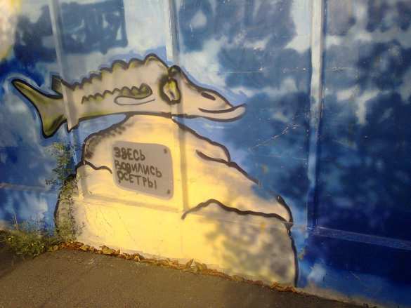 «Слава Гондурасу!» — антиукраинские граффити шокируют «патриотов» в Запорожье — эксклюзив «Русской Весны» (ФОТО) | Русская весна