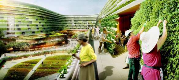 «Мегаполис-огород» — сингапурские архитекторы нарисовали свою версию города-сада | Русская весна