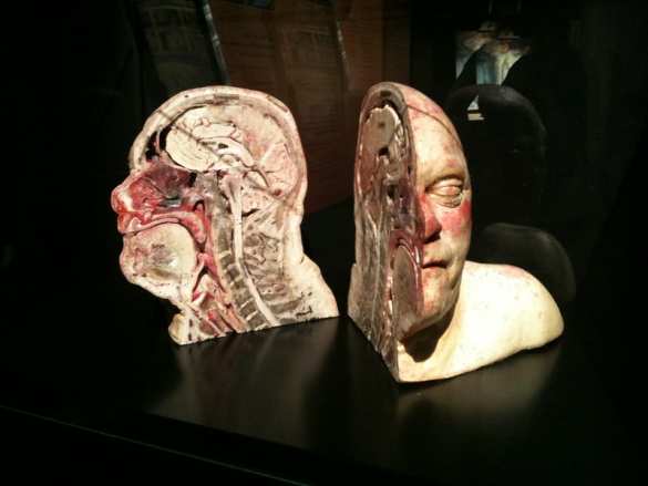 Выставка трупов: что дальше? (ФОТО 18+) | Русская весна