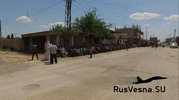 Армия России остановила кровавую бойню (ФОТО, ВИДЕО) | Русская весна