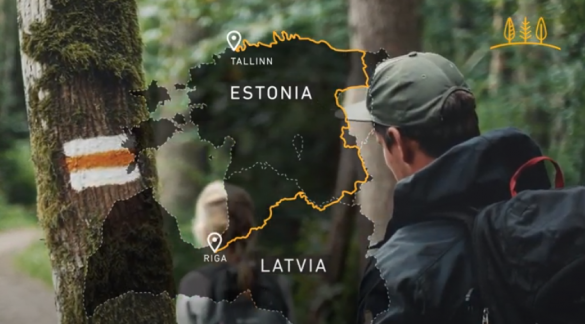 Страны Прибалтики зовут гостей маршировать по их территориям (КАРТА, ВИДЕО) | Русская весна