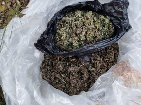 Смертельный бой в Приморье: сборщики конопли против полиции (ФОТО) | Русская весна