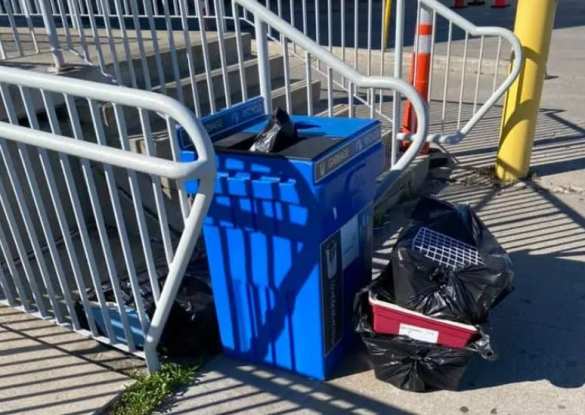 Десятки щенков элитных пород погибли, «эмигрируя» из Украины в Канаду (ФОТО) | Русская весна