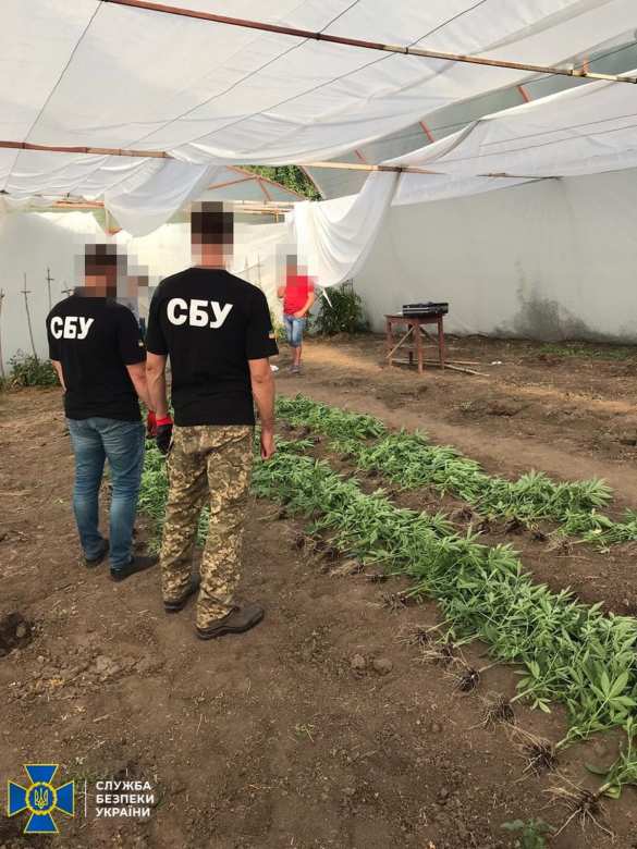 На оккупированной Луганщине боевики ВСУ оборудовали производство наркотиков (ФОТО) | Русская весна