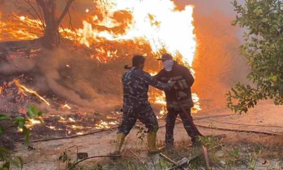 Страшные кадры: Русский военкор попал в окружение стены огня на вершине горы в Сирии (ФОТО, ВИДЕО) | Русская весна