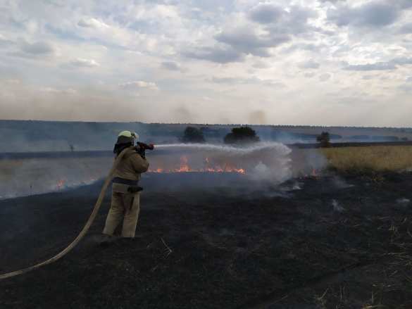 Под Луганском свирепствуют страшные пожары: идёт эвакуация населения (ФОТО) | Русская весна