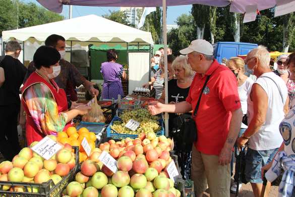 Глава ДНР проинспектировал продовольственную ярмарку в Донецке (ФОТО) | Русская весна