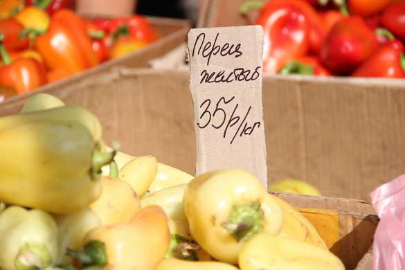 Глава ДНР проинспектировал продовольственную ярмарку в Донецке (ФОТО) | Русская весна