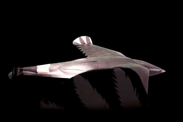 ЦРУ рассказало о работе над «птицами-шпионами» (ФОТО) | Русская весна