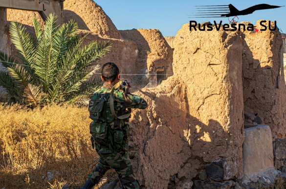 Операция в пустыне: захвачены спецгруппы ИГИЛ, охотившиеся за российскими и сирийскими военными (ФОТО) | Русская весна