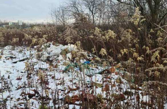 Гора пробирок с кровью: подо Львовом нашли пугающую свалку (ФОТО) | Русская весна