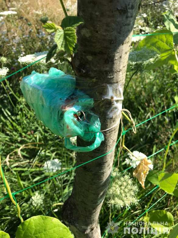 Битва за урожай: украинец открыл огонь по полиции, защищая плантацию конопли (ФОТО, ВИДЕО) | Русская весна