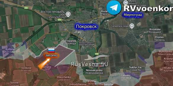 Армия России освободила Новоэкономическое и Зверево на красноармейском направлении — Минобороны | Русская весна