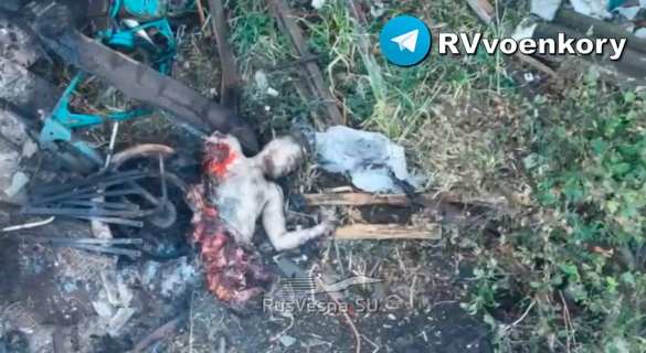 Бойня у Часов Яра: БМП Bradley боевиков ВСУ разрывает на части (ВИДЕО, ФОТО 18+) | Русская весна