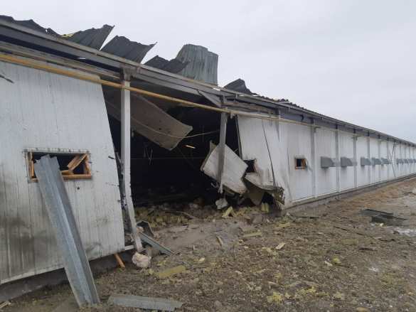 ВСУ нанесли удар по Белгородской области, ранены люди (ФОТО) | Русская весна