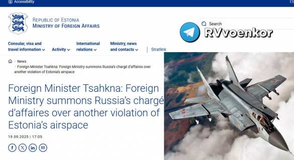 «Испугались?»: Эстония заявила о «вторжении» группы российских истребителей | Русская весна