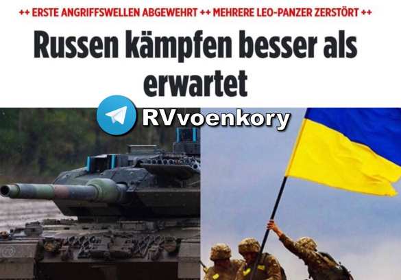 Россияне сражаются лучше, чем ожидалось — Bild | Русская весна