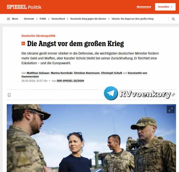 Страны Балтии и Польша пригрозили ввести войска на Украину в случае серьезных успехов российских войск — Spiegel | Русская весна