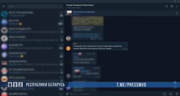 Белоруска призывала «воровать милиционеров и увозить в лес», но быстро раскаялась (ВИДЕО) | Русская весна