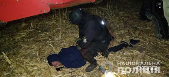 Битва за урожай по-украински: вооружённый захват кукурузного поля (ФОТО, ВИДЕО) | Русская весна