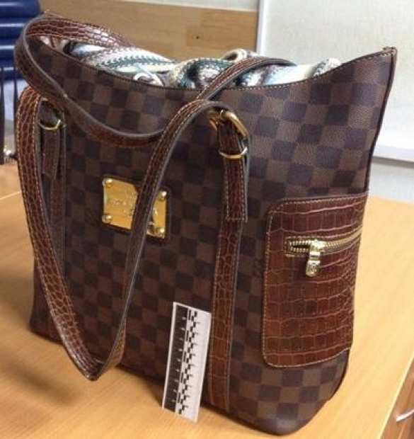 СБУ в своем репертуаре: задержали «смертницу» из Луганска (фото) | Русская весна