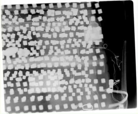 СБУ в своем репертуаре: задержали «смертницу» из Луганска (фото) | Русская весна