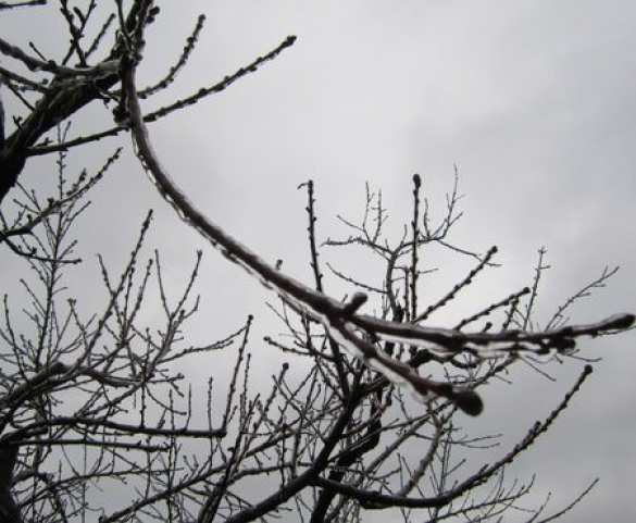 121 населенных пунктов юго-востока Украины и 55 в ДНР обесточены из-за непогоды | Русская весна