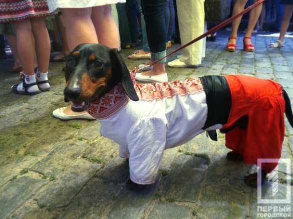 Украинский политический карнавал: Саакашвили надел вышиванку ради «единой Украины» и вышел на марш в Одессе (ФОТО) | Русская весна