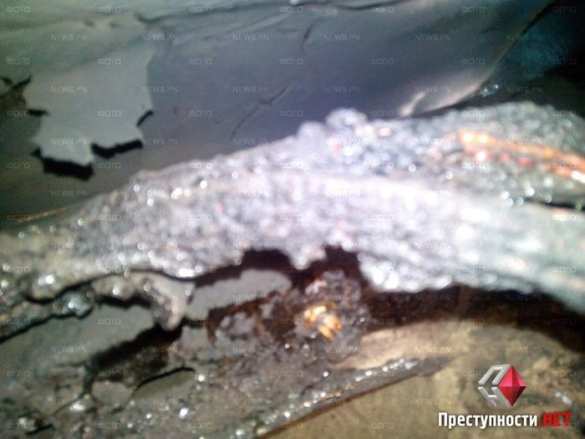 В Николаеве жгут машины с украинской символикой (фото) | Русская весна