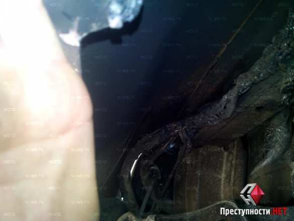 В Николаеве жгут машины с украинской символикой (фото) | Русская весна