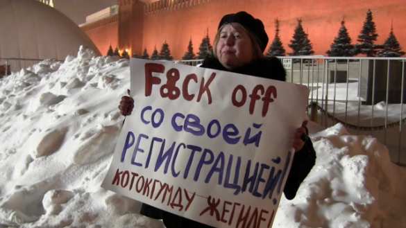 «Доскакалась» — у скандальной провокаторши и московской сторонницы «АТО» Екатерины Мальдон идет обыск | Русская весна