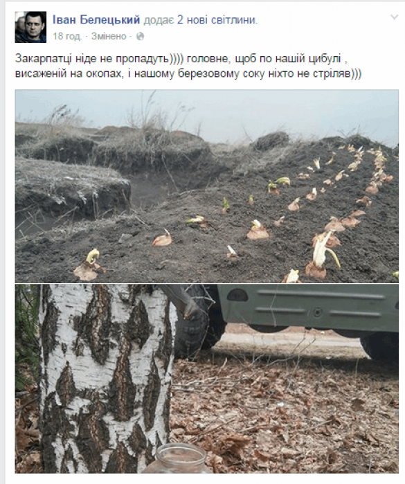 Украинские военные засадили окопы луком | Русская весна