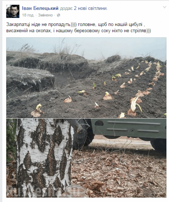 Ukrainian military planted onion in trenches  | Русская весна