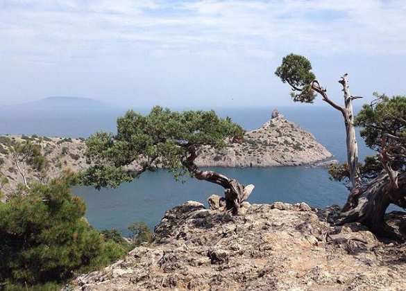 Крымские каникулы – человечный сервис с компромиссами (фото) | Русская весна