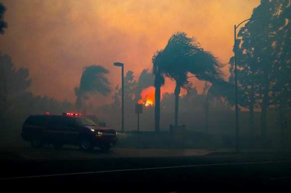 Страшные пожары в США: В Калифорнии эвакуировали более 100 тысяч человек  (ФОТО, ВИДЕО) | Русская весна