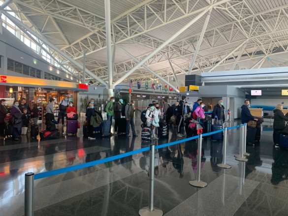 Спецбортом из Нью-Йорка в Киев эвакуировали кошку (ФОТО, ВИДЕО) | Русская весна