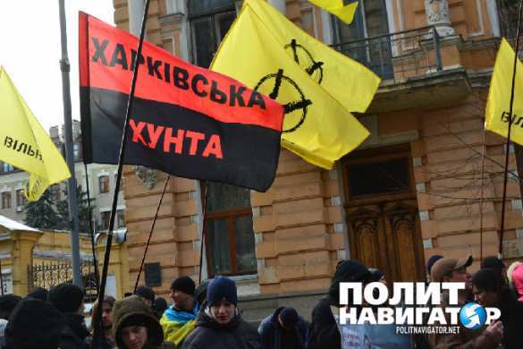 Яценюк и Аваков выводят на улицы Киева боевиков для борьбы с Русской весной (ФОТО, ВИДЕО) | Русская весна