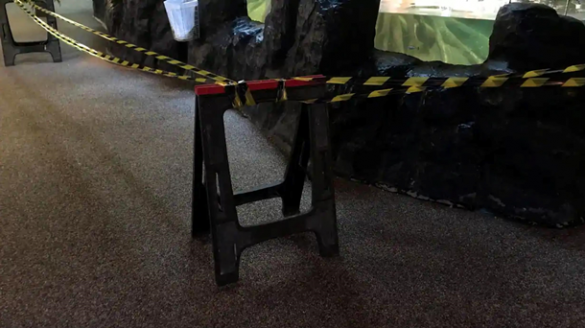 Крокодил советского космонавта откусил руку пожилому шведу (ФОТО) | Русская весна