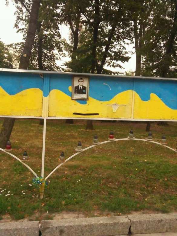 В Днепропетровске с «аллеи героев» сорвали фотографии «атошников» и «майдановцев» (ФОТО) | Русская весна
