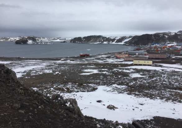 Патриарх Кирилл пообщался с пингвинами в Антарктиде (ФОТО, ВИДЕО) | Русская весна