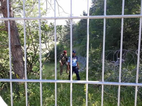 Неспокойная Европа: Словения направляет военных с бронетехникой на границу с Италией (+ФОТО) | Русская весна