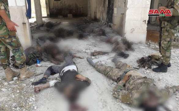 Кровавый провал: Банды начали наступление в Сирии и были уничтожены (ФОТО 18+) | Русская весна