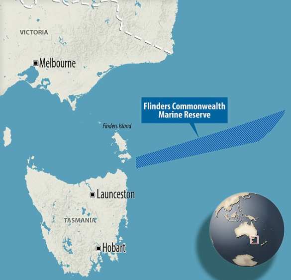 В Австралии поймана устрашающая рыба с головой ящерицы (ФОТО) | Русская весна